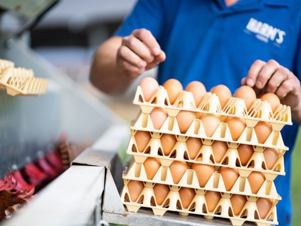 Kies eieren voor je geld - met een EI-bonnement